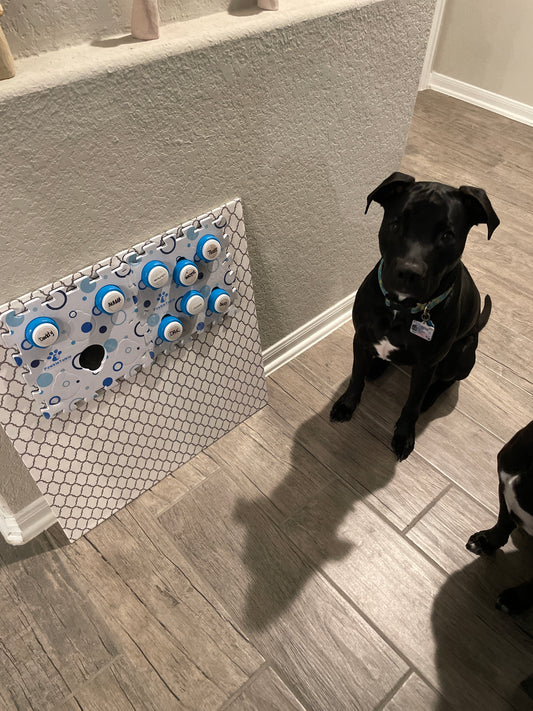 Ducky and I absolutely love the buttons! They are so easy to use and are the perfect size! Sometimes I don’t see that the bowls are out of water and Ducky will let me know! I feel like we are understanding each other so much better!