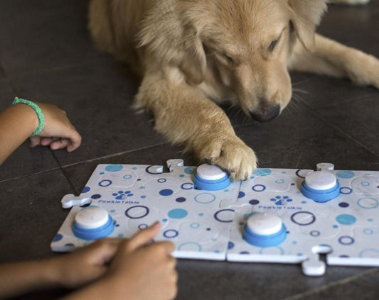 Can dogs talk by pressing buttons? What science says about the debate.