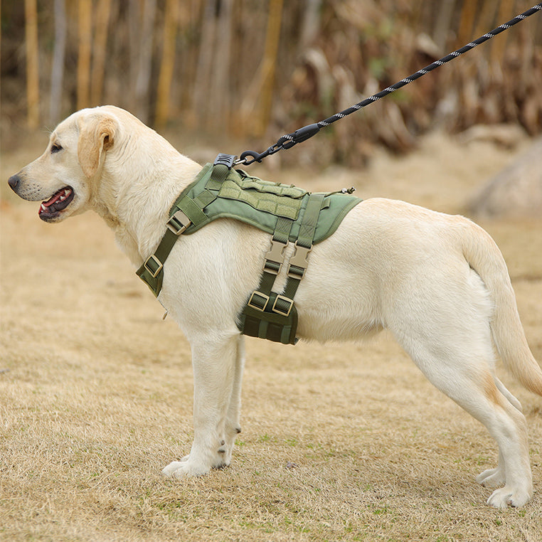 OLIFE Tactical MOLLE Dog Harness and Bungee Leash Set