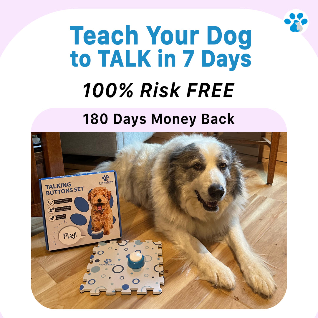 PawkieTalkie Pet Talking Buttons
