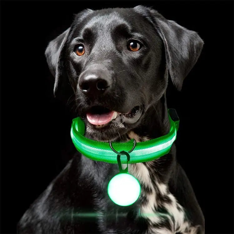 USB Light-up Collar Set (3 pcs)