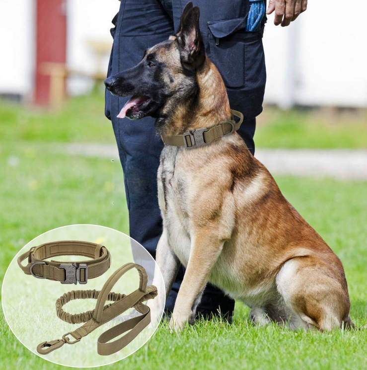 Heavy Duty Retractable Training Leash & Collar Pro Set