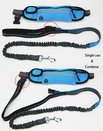 Runner Pouch + Bungee Dog Leash Set