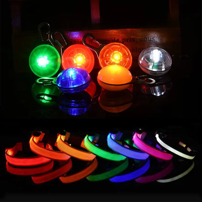 USB Light-up Collar Set (3 pcs)