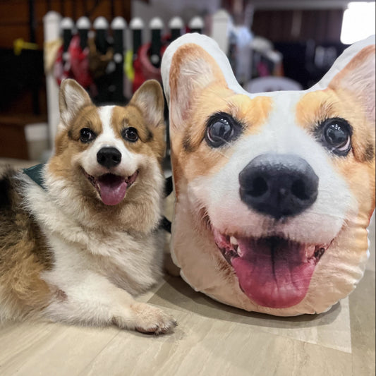 It's Me! Custom Pet Pillow