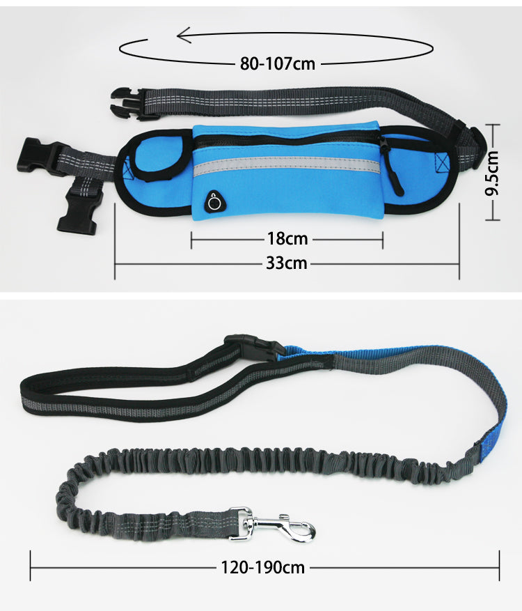 Runner Pouch + Bungee Dog Leash Set