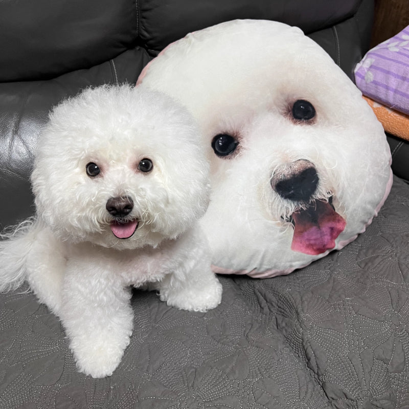 It's Me! Custom Pet Pillow