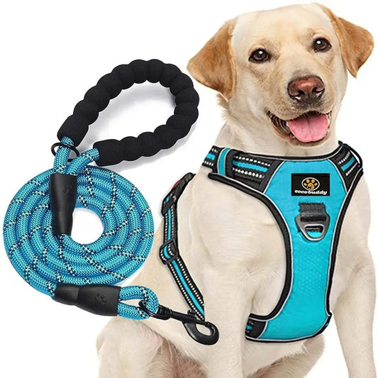 Harness & Leash Set