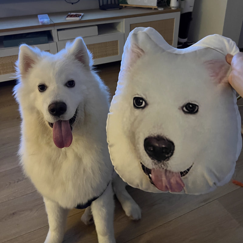 It's Me! Custom Pet Pillow