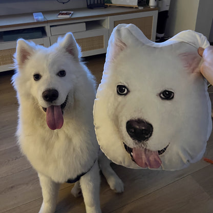 It's Me! Custom Pet Pillow