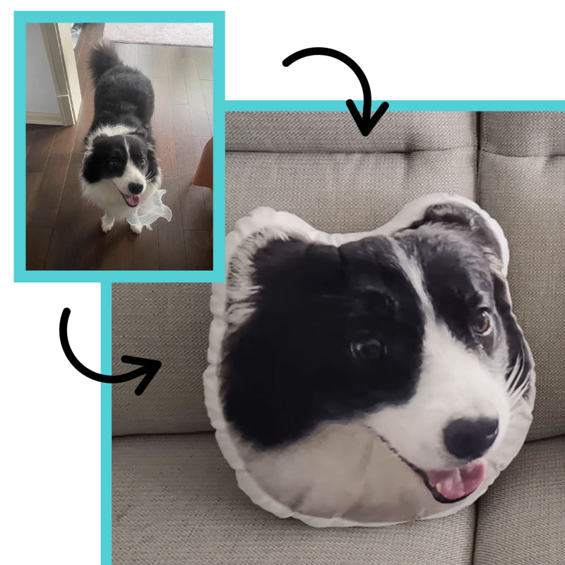 It's Me! Custom Pet Pillow