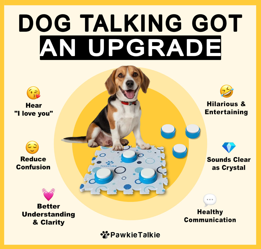 Talking Buttons Starter Set