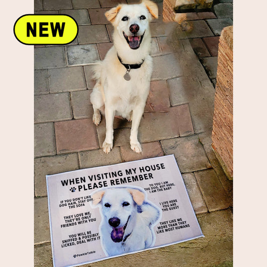 Paw-Cleaning Humor Floor Rug