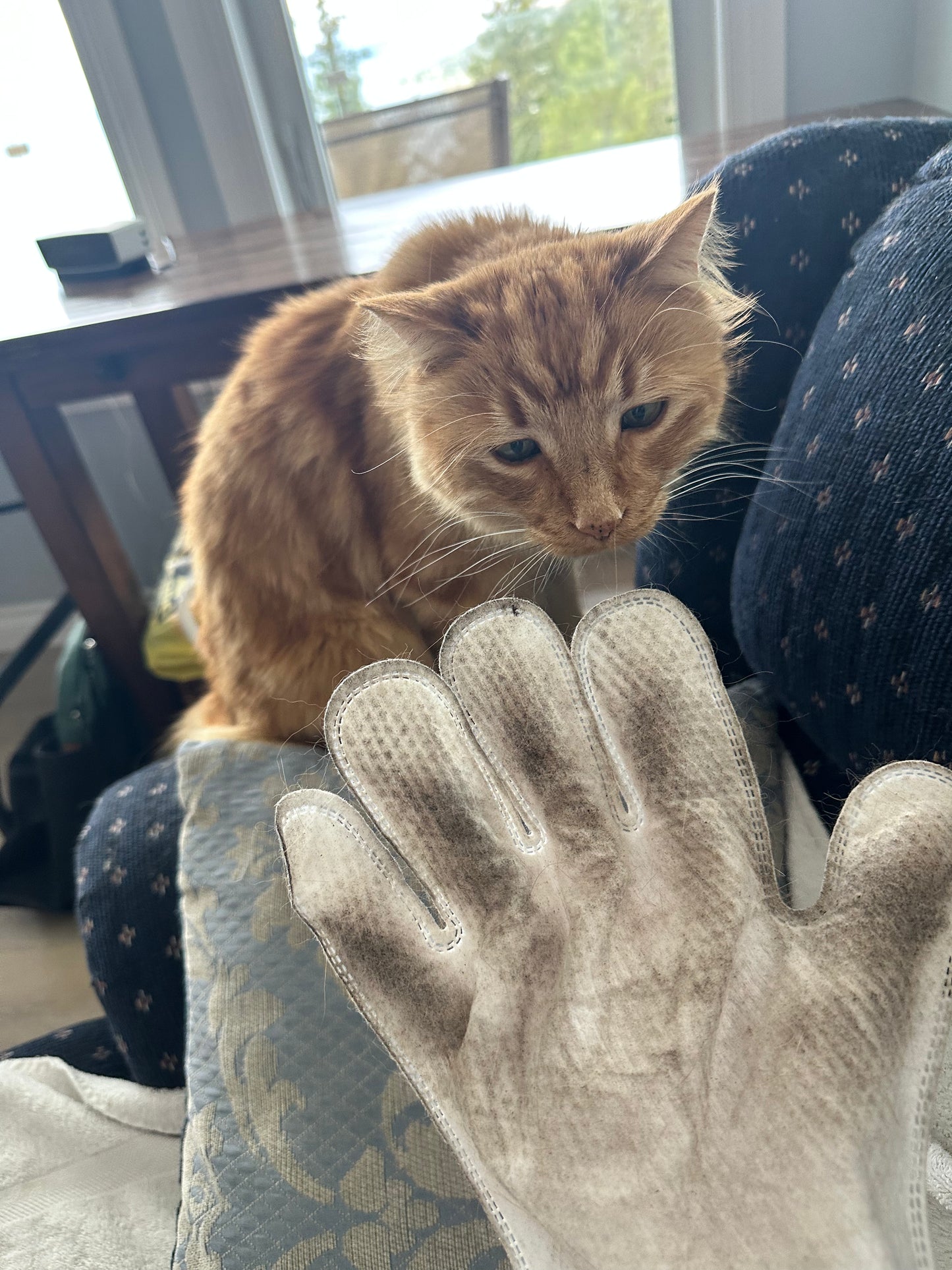 Soft Bathing Glove Wipes