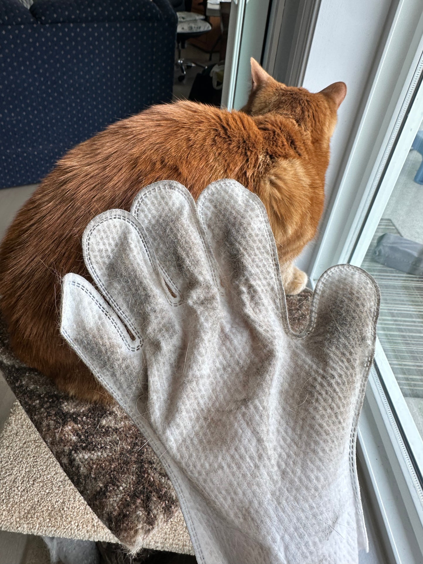 Soft Bathing Glove Wipes