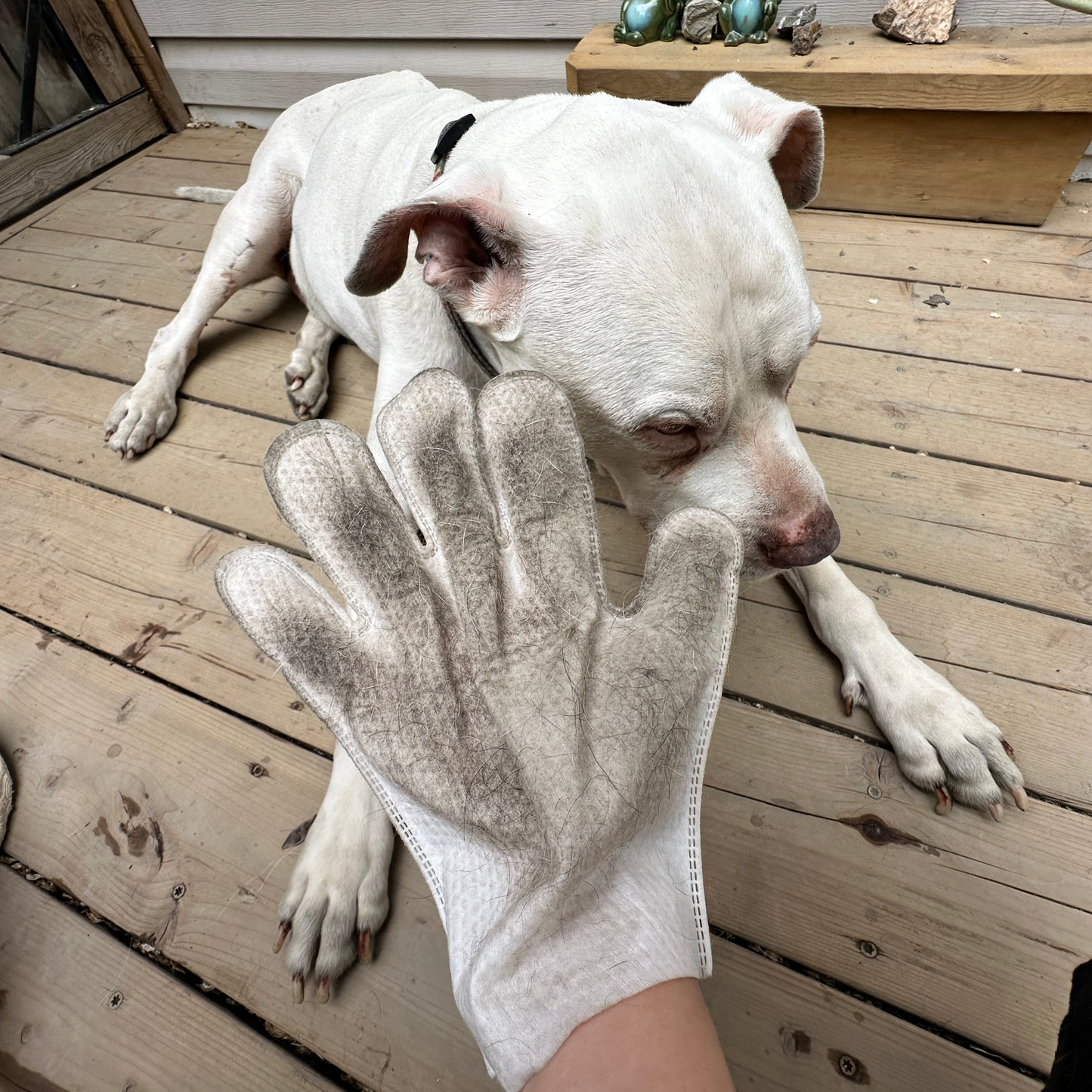 Dr. Pawsome Clean & Deodorizing Glove Wipes