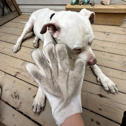 Dr. Pawsome Clean & Deodorizing Glove Wipes