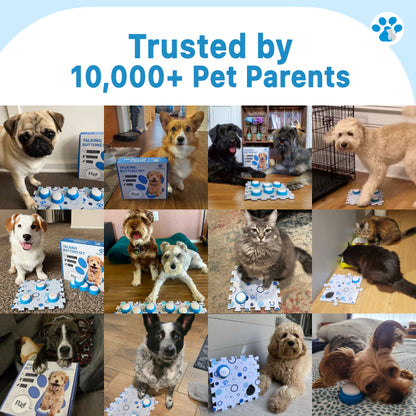 PawkieTalkie Pet Talking Buttons