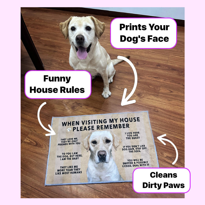 Paw-Cleaning Humor Floor Rug