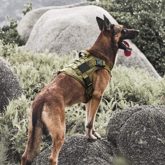 Tactical Dog Harness