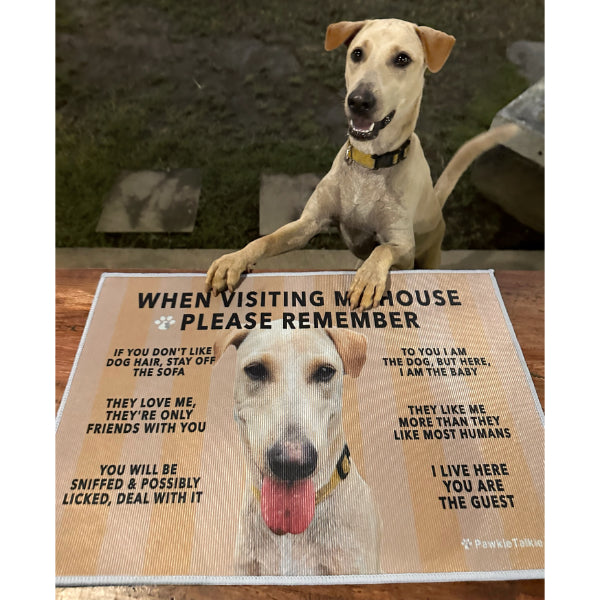 Paw-Cleaning Humor Floor Rug