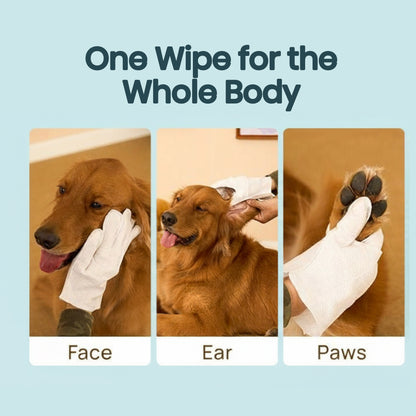 Dr. Pawsome Cleaning Deodorizing Glove Wipes for Dogs & Cats