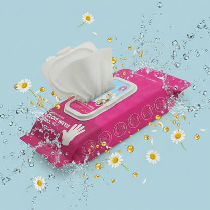 Dr. Pawsome Cleaning Deodorizing Glove Wipes for Dogs & Cats