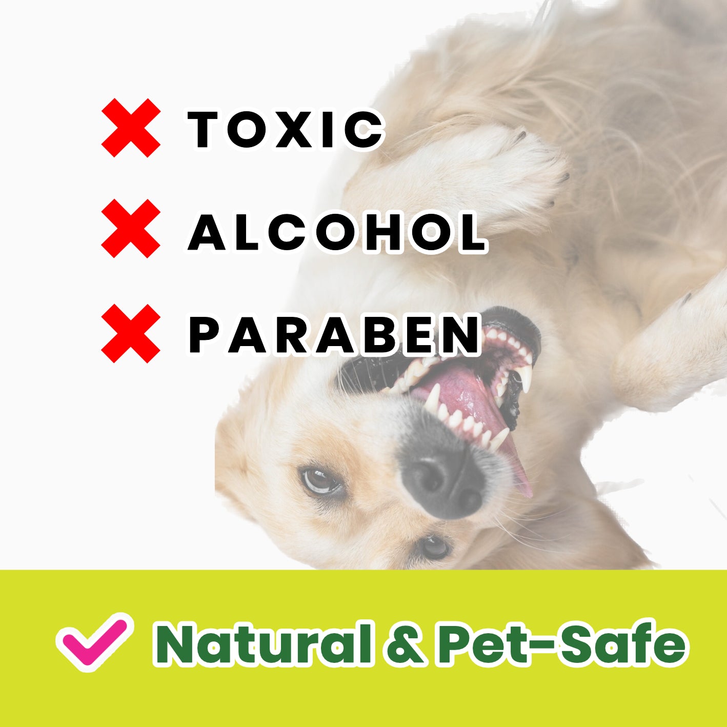 Dr. Pawsome Cleaning Deodorizing Glove Wipes for Dogs & Cats