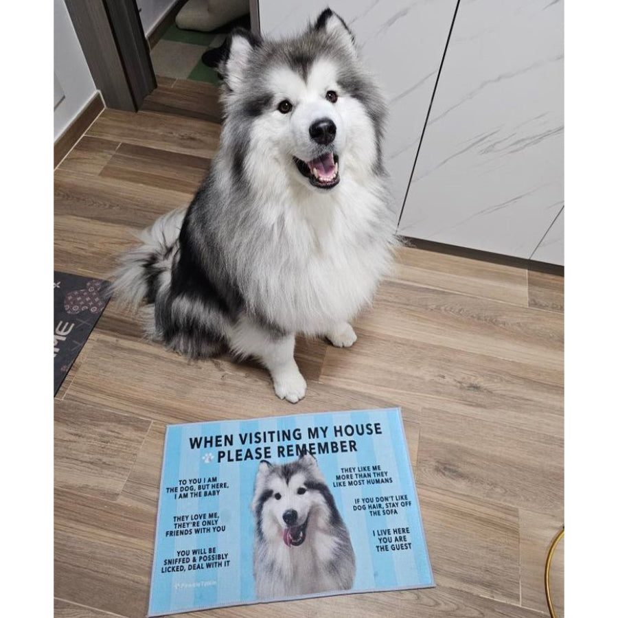 Paw-Cleaning Humor Floor Rug