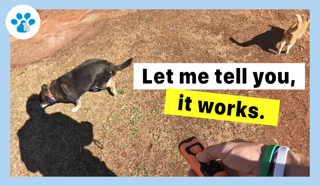 Load video: Smart Bark Trainer Review