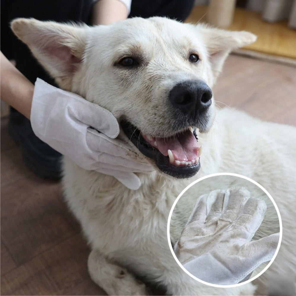 Dr. Pawsome Clean & Deodorizing Glove Wipes