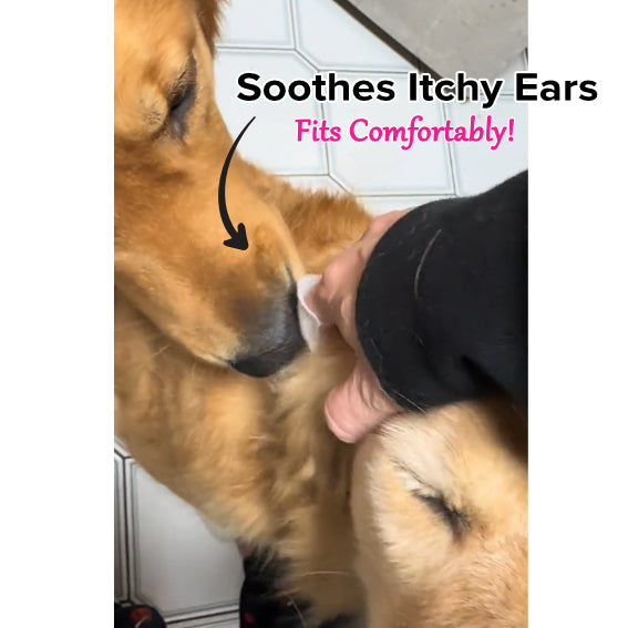 Dr. Pawsome Pet Care Ear Finger Wipes (44% OFF)